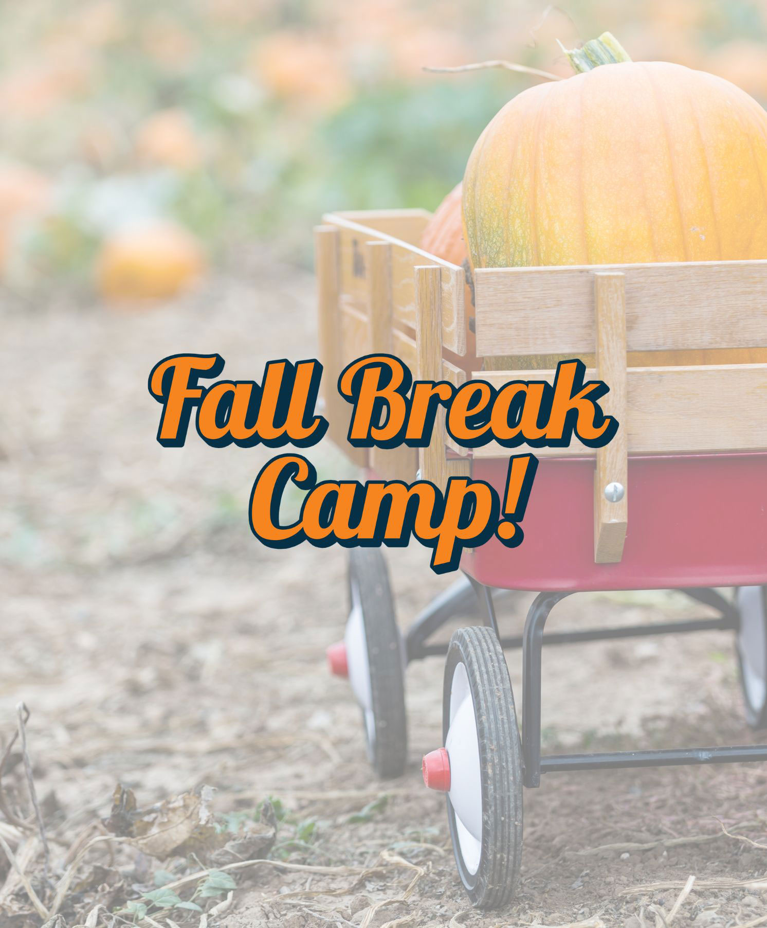 Fall Break Camp
